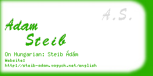 adam steib business card